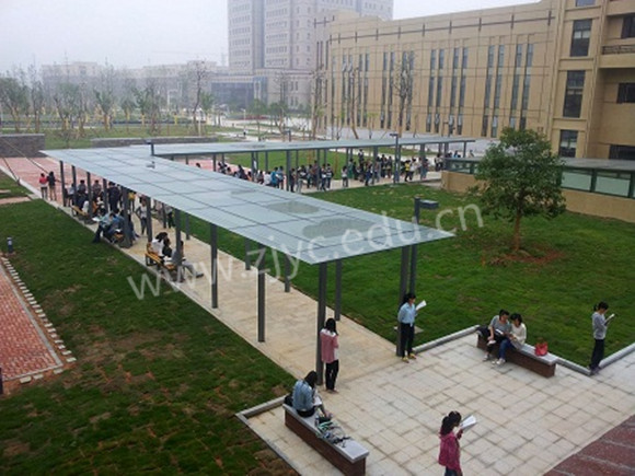 清晨学生在晨读